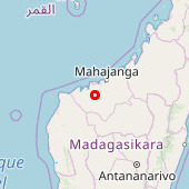 Mangabe