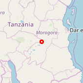 Magombera Forest