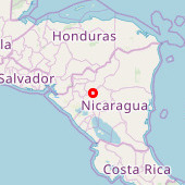 Selva negra