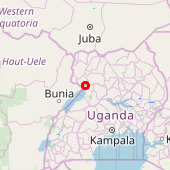 Buligi
