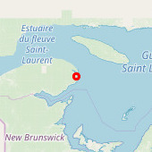 Barachois