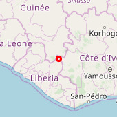 East Nimba Forest Reserve