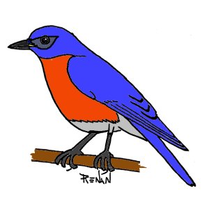 merle_bleu_est