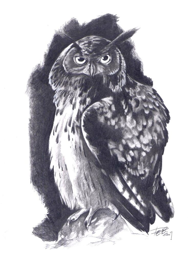 Eurasian Eagle-Owl